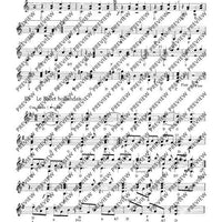 Tambourin - Set of Parts