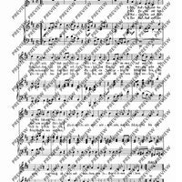 Aus dem kleinen Rosengarten