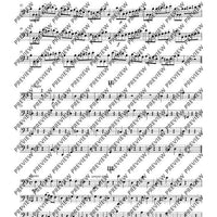 Concerto E Minor - Set of Parts