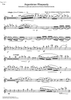 Argentinian Rhapsody - Flute