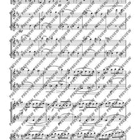 Duo D major - Performing Score