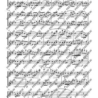 Duo concertant D major - Performing Score