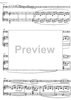 Fantaisie de concert - Score