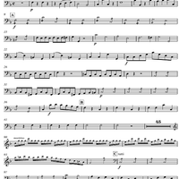 Concerto for Mandolin and Orchestra in F major - Contrabass