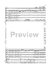 Double Concerto for Recorder and Flute in E minor - Score
