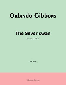 The Silver Swan