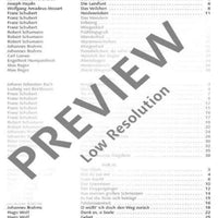 Das deutsche Kunstlied