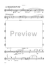 Dancin' Into The '20s: III. Waltz Set - Music of Victor Herbert - Flute 1