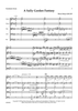 A Sally Garden Fantasy for String Orchestra - Score