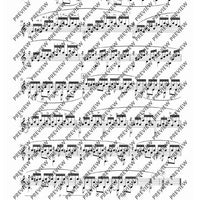 100 Classical and Romantical Études