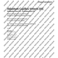 Adiantum Capillus-Veneris III (Maidenhair fern III)
