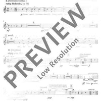 vergehn wie Rauch - Set of Parts