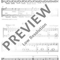 Nette Duette - Performing Score