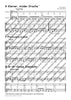 Geigenfrosch & Co: Violinbegleitung 1 - Text
