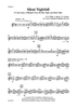 Silent Nightfall - Violin 1