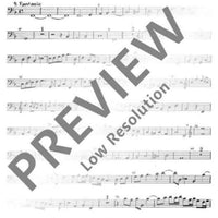 Consort - Bass Recorder/cello