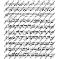 100 Technical Paraphrases on Kreutzer-Etudes