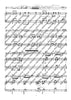 Concerto for Clarinets - Score and Parts
