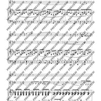 The Arrangements C-Flute(s) with Alto Flute