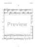 12 Miniatures - Score