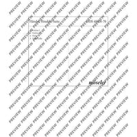Rinaldo-Suite - Set of Parts