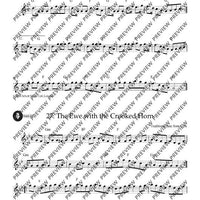 Irish Folk Tunes for Descant Recorder