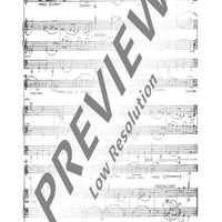 Elegie auf den Tod eines Freundes