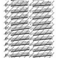 100 Technical Paraphrases on Kreutzer-Etudes