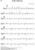 Time Stream - Bass