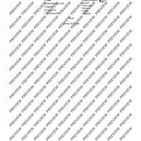 2. Concerto in C - Piano Score and Solo Part