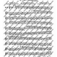 100 Technical Paraphrases on Kreutzer-Etudes