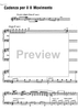 Cadenza Concerto D Major No.11 1st and  2nd movement