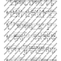 The Flute Expedition