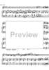Concerto No. 1 G Major KV313 - Score