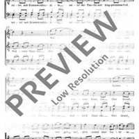 Des Teufels Ritt - Choral Score