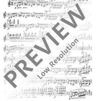 Caprice fantastique "Wichtelmännchen"