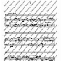 Concerto D Major - Piano Reduction