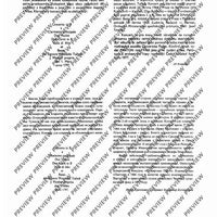 Concerto B major - Piano Reduction