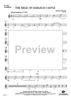 The Siege of Harlech Castle - Alto Saxophone