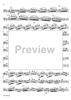 Concerto in G Minor for Basoon, Strings and Cembalo - Piano Accompaniment