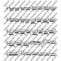 Souvenir de Beauchamps in A minor