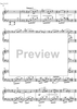 Essays on the forgotten Rhythms Op.28