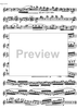 The Accomplished Clarinettist Vol. 1 - Clarinet