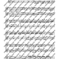 Flute Duets - Performing Score