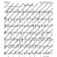 Tambourin - Set of Parts