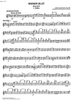 Wiener Blut, Walzer Op.354 - Violin 1