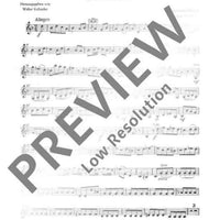 Concerto G Minor - Violin II