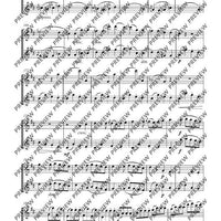 Duo D major - Performing Score