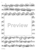 Concerto in G Minor for Basoon, Strings and Cembalo - Bassoon