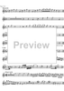 Divertimento No. 2 D Major KV131 - D Horn